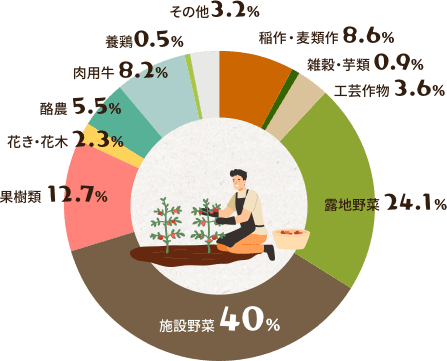 グラフ(経営類型別新規就農者)