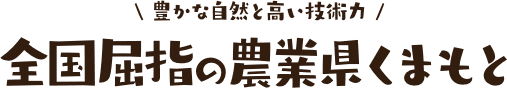 豊かな自然と高い技術力 全国屈指の農業県くまもと