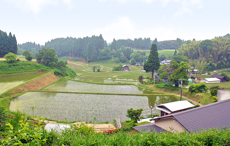 中山間地の棚田