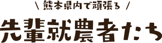 熊本県内で頑張る先輩就農者たち