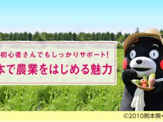 記事サムネイル画像