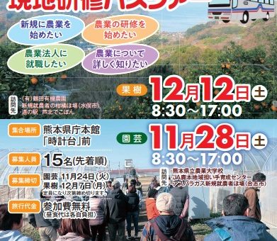 記事サムネイル画像