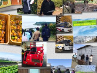 記事サムネイル画像