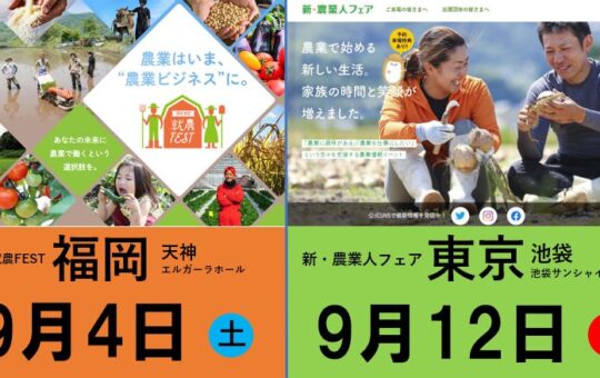 記事サムネイル画像