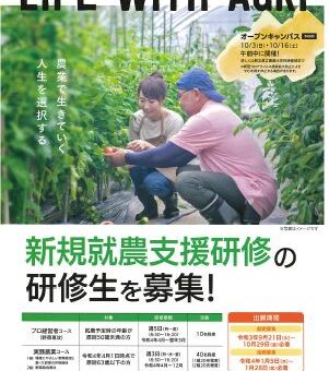 記事サムネイル画像