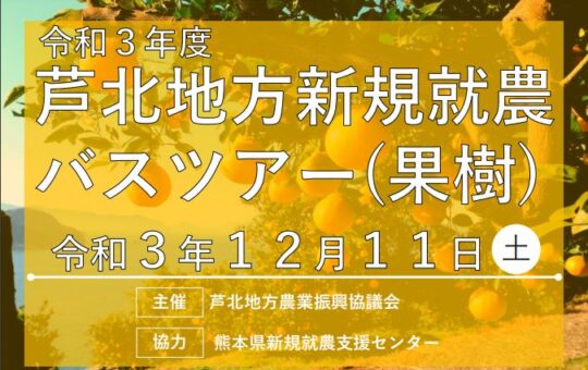 記事サムネイル画像