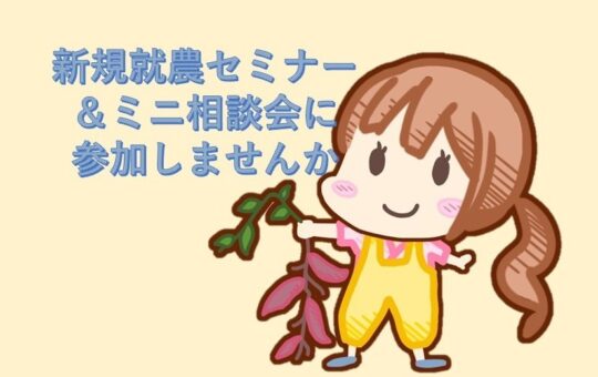 記事サムネイル画像