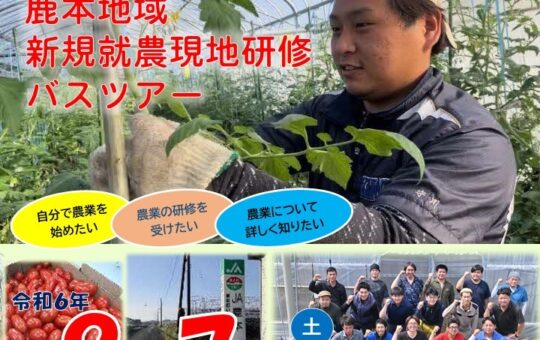 記事サムネイル画像