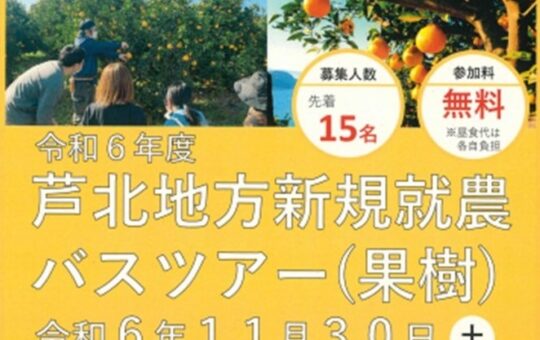 記事サムネイル画像