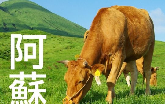 記事サムネイル画像