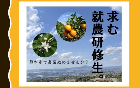 記事サムネイル画像