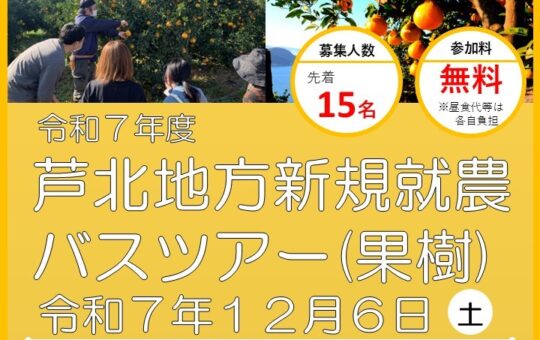 記事サムネイル画像