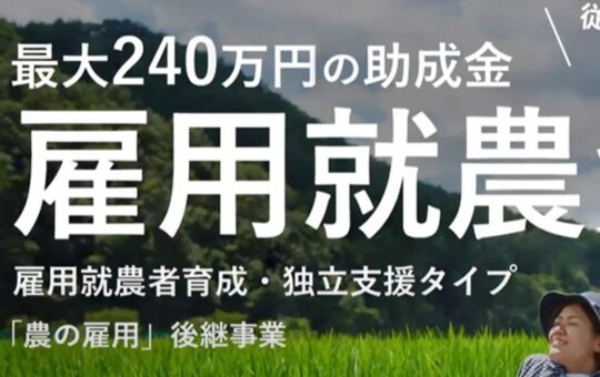 記事サムネイル画像