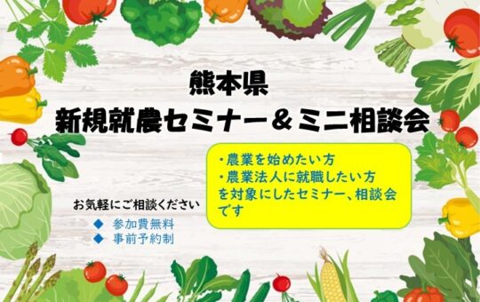 記事サムネイル画像