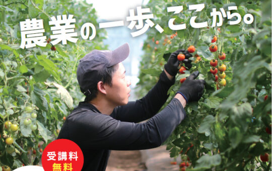 記事サムネイル画像